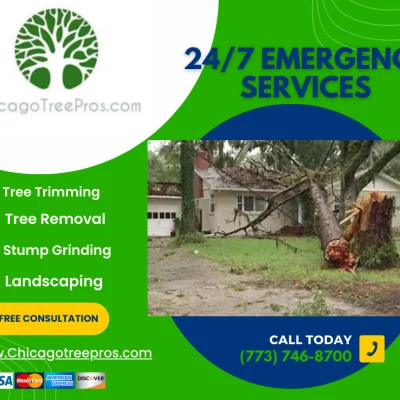 Chicagotreepros